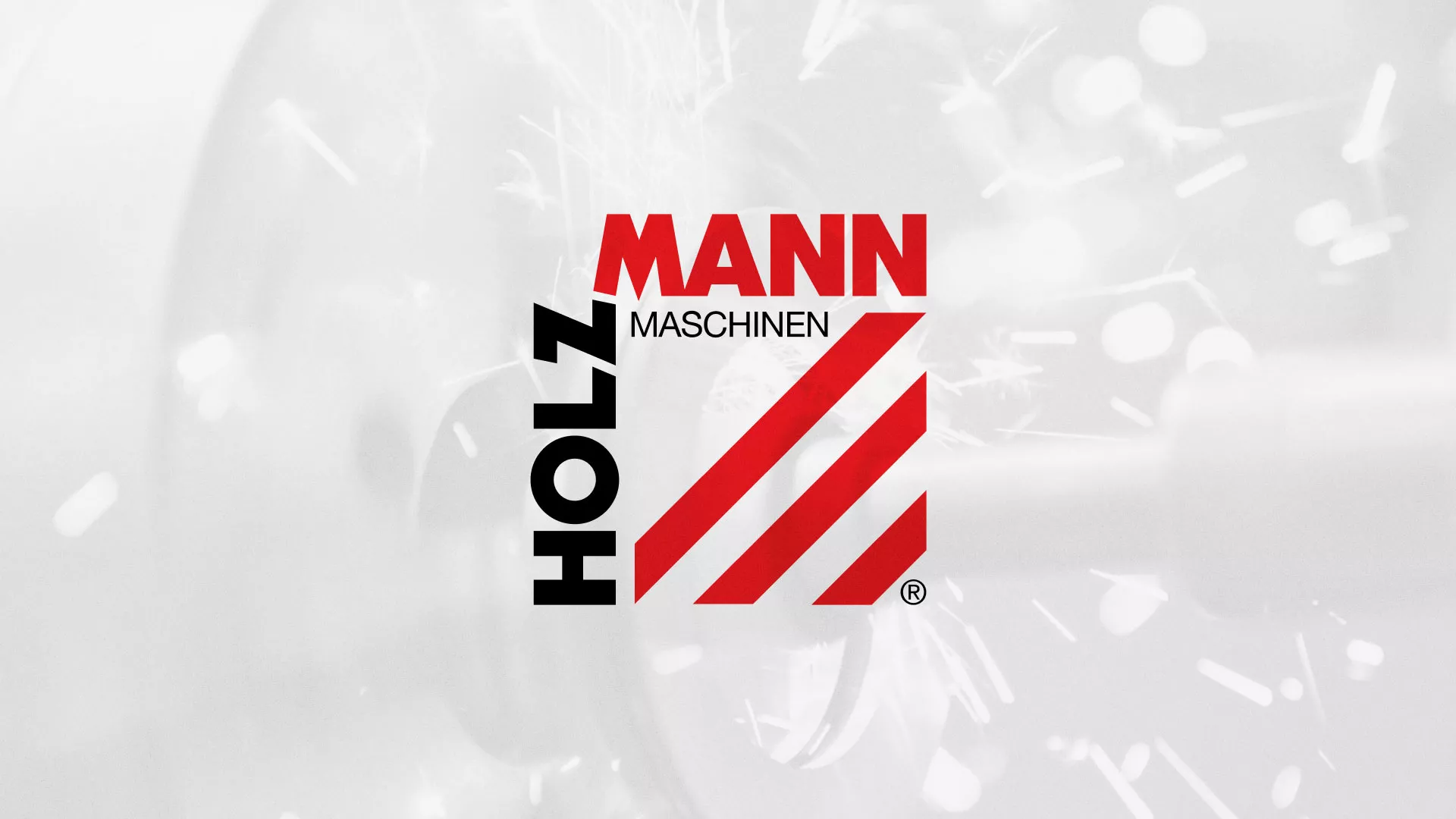 Создание сайта компании «HOLZMANN Maschinen GmbH» в Пушкине